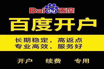 某行业领先企业背后的百度推广代理商策略